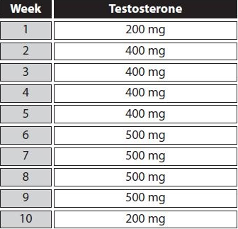 ciclo de testosterona