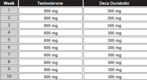 ciclo deca de testosterona