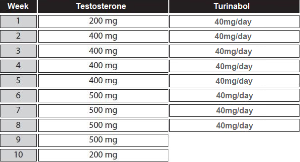 testosterona ciclo turinabol